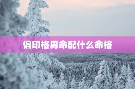 偏印格男命配什么命格