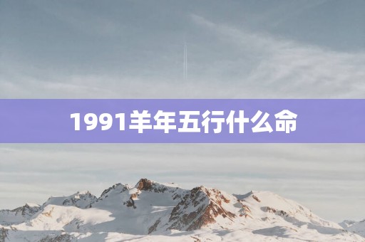 1991羊年五行什么命