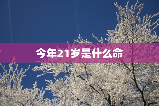 今年21岁是什么命