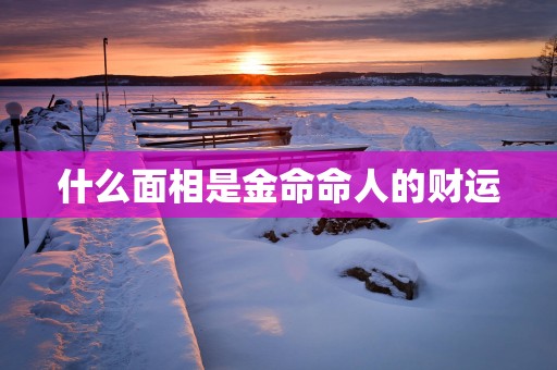 什么面相是金命命人的财运