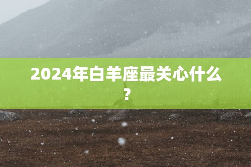 2025年白羊座最关心什么？