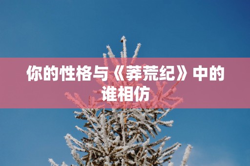 你的性格与《莽荒纪》中的谁相仿