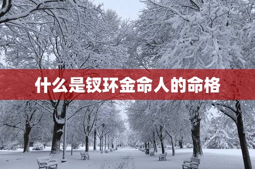 什么是钗环金命人的命格