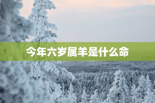今年六岁属羊是什么命