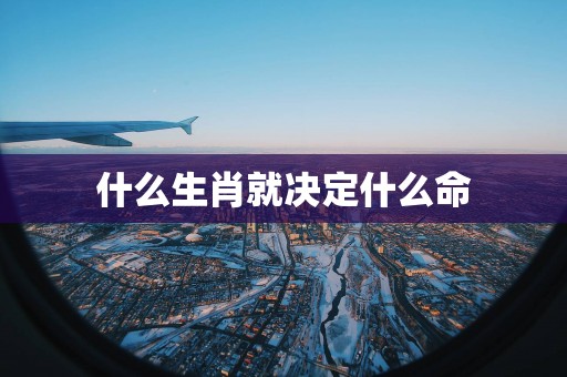 什么生肖就决定什么命