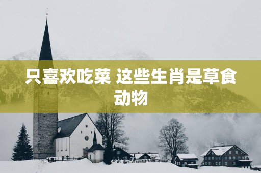 只喜欢吃菜 这些生肖是草食动物