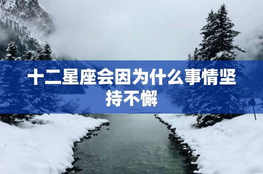 十二星座会因为什么事情坚持不懈