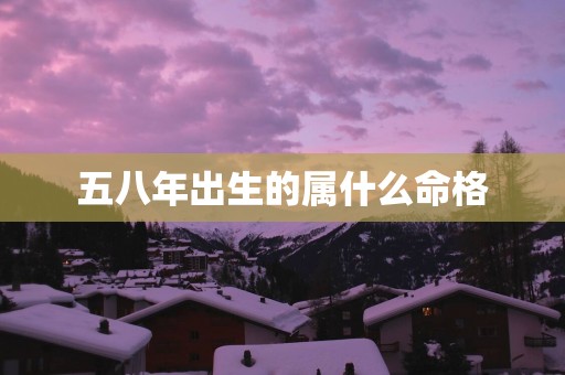 五八年出生的属什么命格