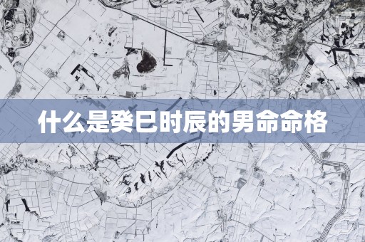 什么是癸巳时辰的男命命格