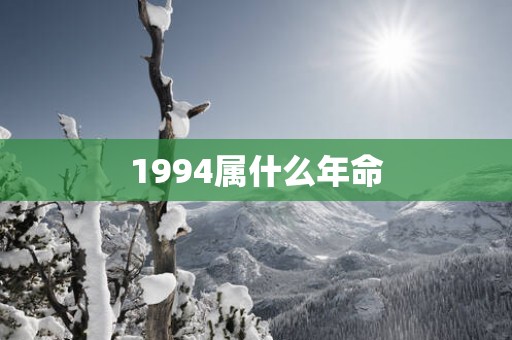 1994属什么年命