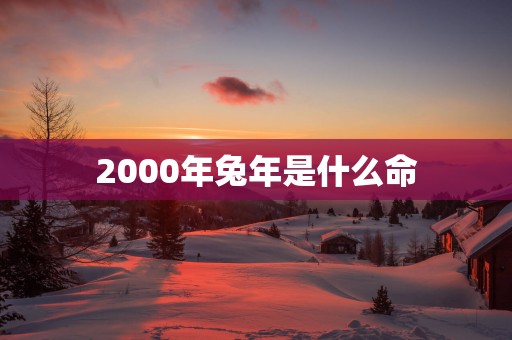 2000年蛇年是什么命