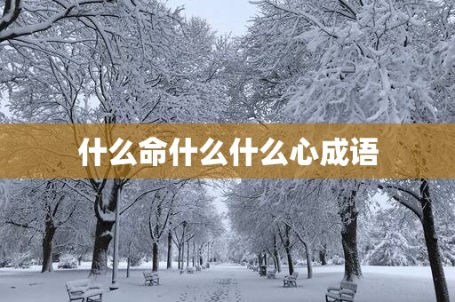 什么命什么什么心成语