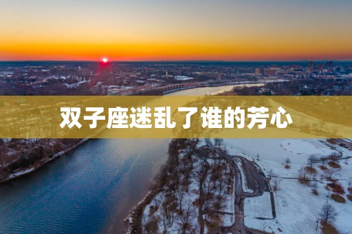 双子座迷乱了谁的芳心