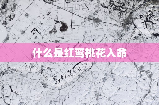 什么是红鸾桃花入命