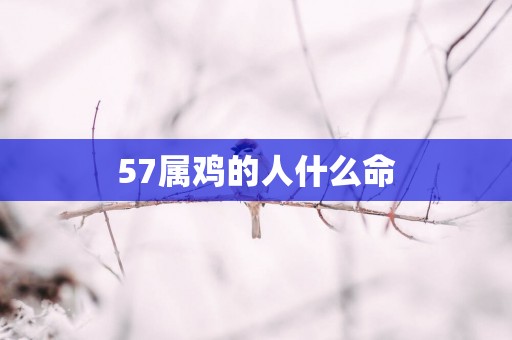 57属鸡的人什么命