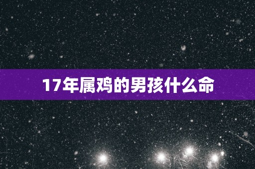 17年属鸡的男孩什么命
