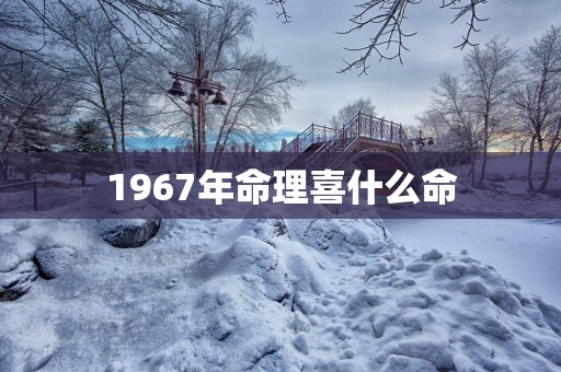 1967年命理喜什么命