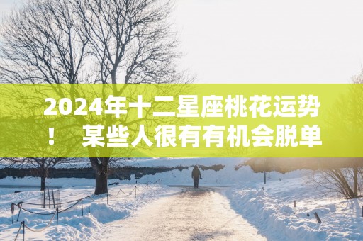 2025年十二星座桃花运势！  某些人很有有机会脱单