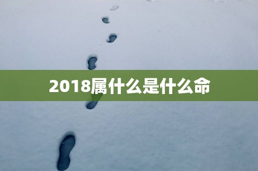 2018属什么是什么命