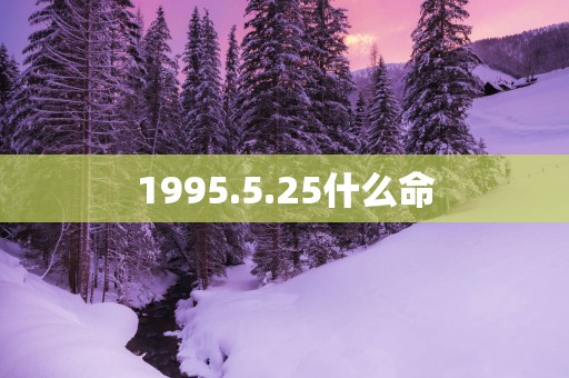 1995.5.25什么命