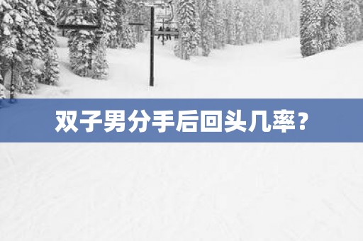 双子男分手后回头几率？