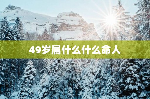 49岁属什么什么命人