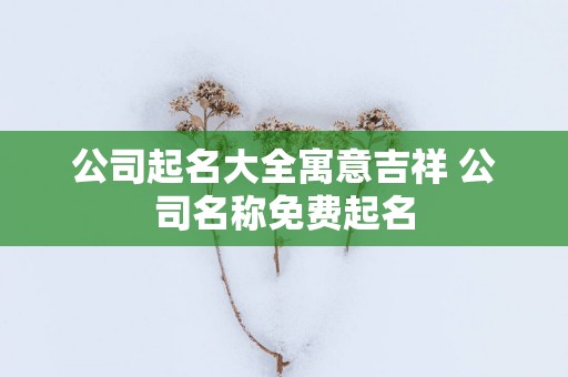 公司起名大全寓意吉祥 公司名称免费起名