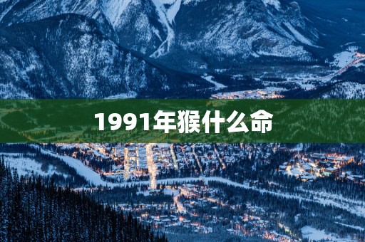 1991年猴什么命
