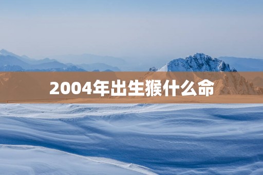 2004年出生猴什么命