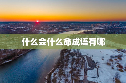 什么会什么命成语有哪