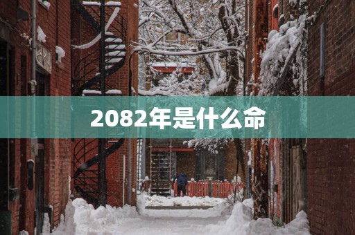 2082年是什么命 2082年是什么命