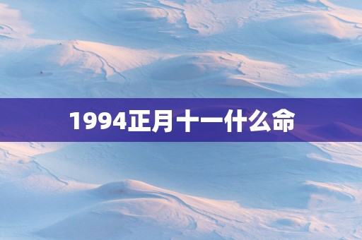 1994正月十一什么命