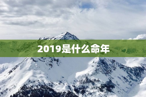 2019是什么命年