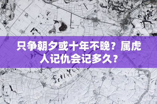 只争朝夕或十年不晚？属虎人记仇会记多久？