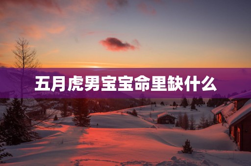 五月虎男宝宝命里缺什么