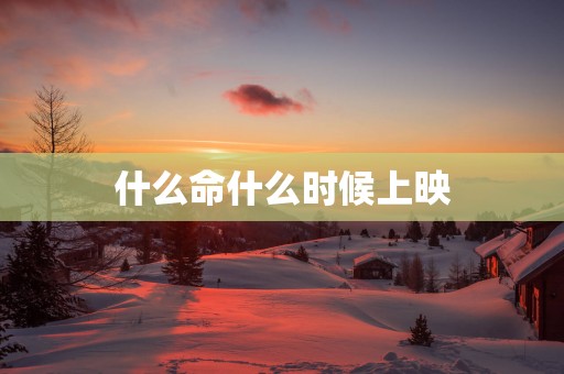 什么命什么时候上映
