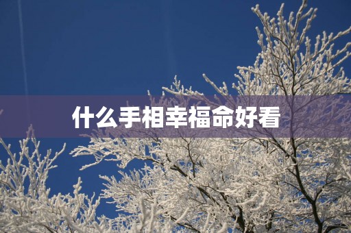 什么手相幸福命好看