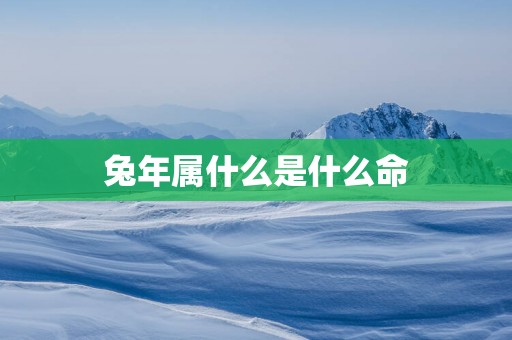 蛇年属什么是什么命
