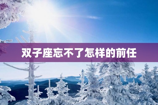 双子座忘不了怎样的前任