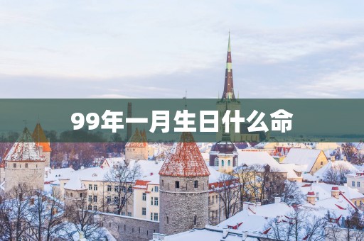 99年一月生日什么命