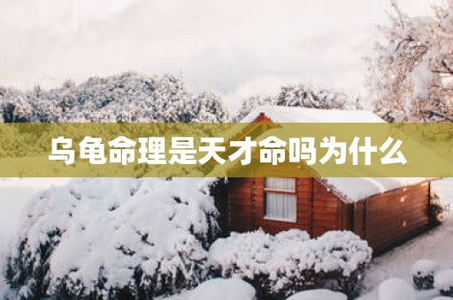 乌龟命理是天才命吗为什么