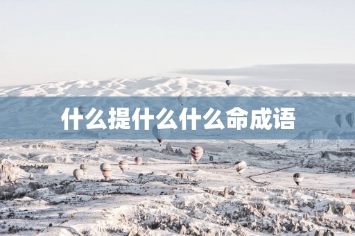 什么提什么什么命成语