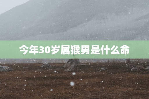 今年30岁属猴男是什么命