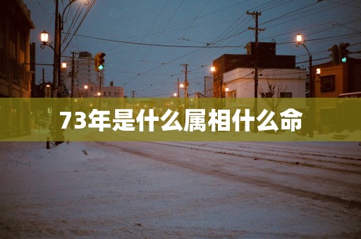 73年是什么属相什么命