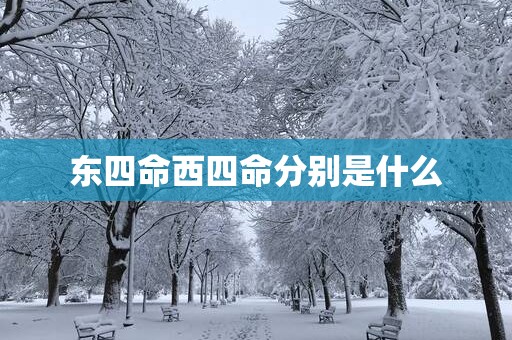 东四命西四命分别是什么