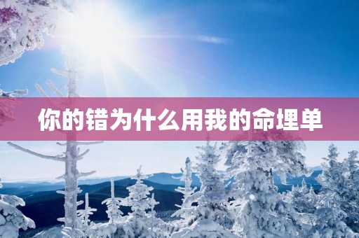 你的错为什么用我的命埋单