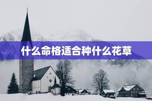 什么命格适合种什么花草