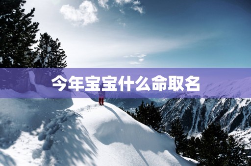 今年宝宝什么命取名