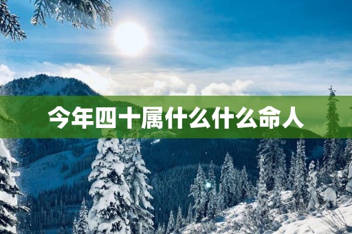今年四十属什么什么命人