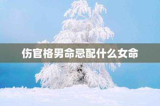 伤官格男命忌配什么女命